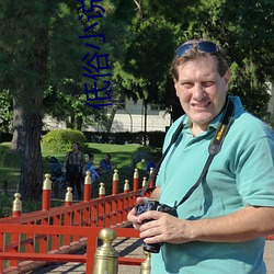 低俗小说(說)高清