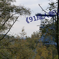 vwinӮ(й) - ٷվ