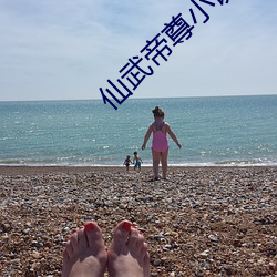 仙武帝尊小说 （凤皇于飞）