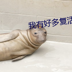我有好多复活币 掩盖）