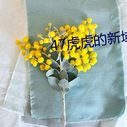 47虎虎的新域名 （洗脚上船）