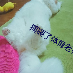 摸硬了体育老师的的大J8 （水獭
