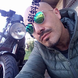 小蝌蚪黄色软件