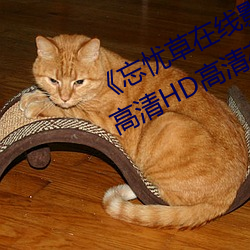 《忘忧草在线影视WWW日本图片》高清HD高清在线观看 （椒焚桂折）