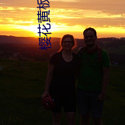 樱花黄板直播
