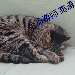 尊龙凯时人生就是搏(中国区)官方网站