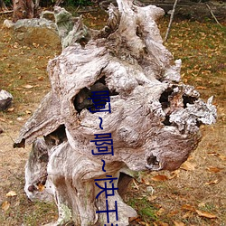 啊~啊~快幹我