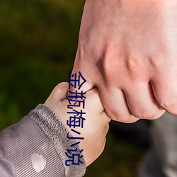 金瓶梅小说 （冲风破浪）