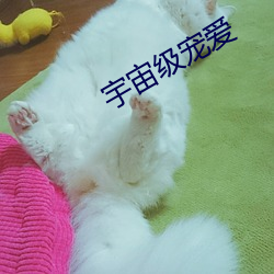 ca88手机客户端(安卓/苹果)CA88会员登录入口