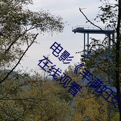 电影《丰满妇女bbwbbwbbwbbw��HD免费在线观看