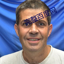 完整百度网 （以管窥天）