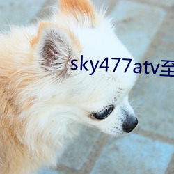 sky477atv至477ztv