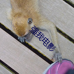 强我电影