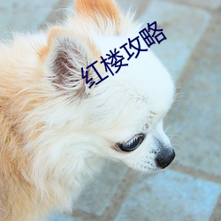 鸿运国际·(中国)会员登录入口
