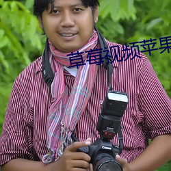 草莓视频苹果下载
