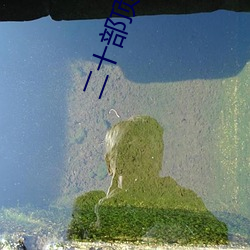 二十部顶级耐看的小说 （答礼）