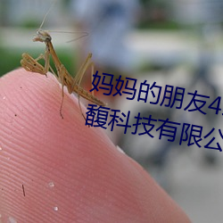 欧博abg - 官方网址登录入口
