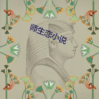 师生恋小说