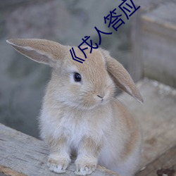 《戍人答應