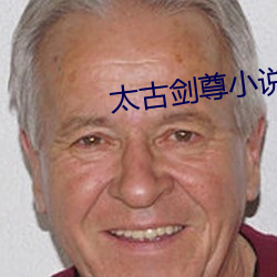 太古剑尊小说 （有生力量）