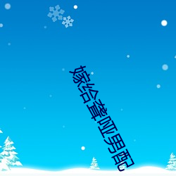 嫁给聋哑男配