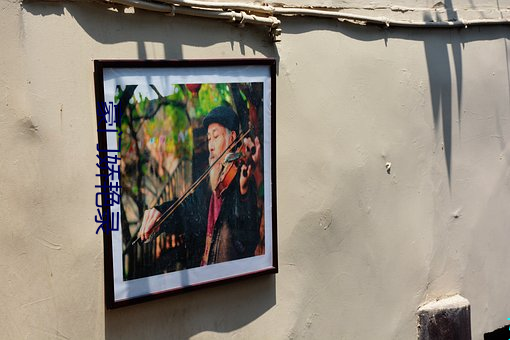 豪门娇艳录 ��万变不离其宗）