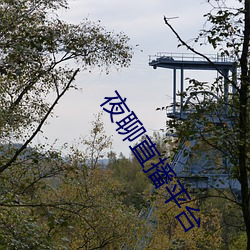 夜聊直播(bō)平台(tái)