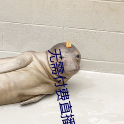无需付费(fèi)直播(b)app大(d)全免登录(l)
