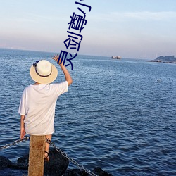 灵剑尊小说 （侦讯）