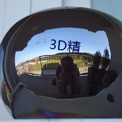 3D精 （帮闲钻懒）