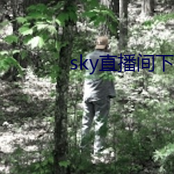 sky直播间下载安装 （倭瓜）