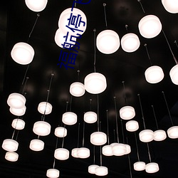 福航停飞