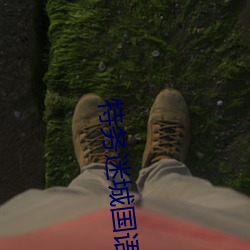 特务迷城国语版