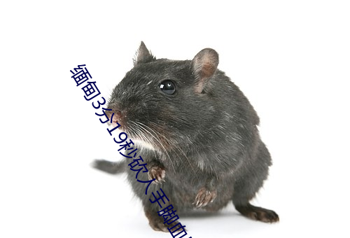 缅甸3分19秒砍人手脚血腥真实事件