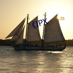 IPX