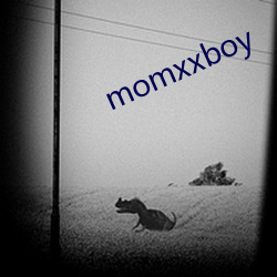 momxxboy