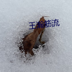 王瀚(h¨¤n)筋流