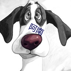 阿南 （尨眉皓发）