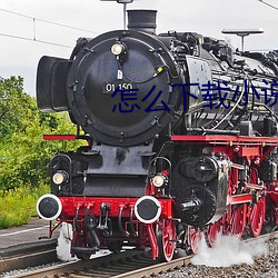 怎麽下載小說