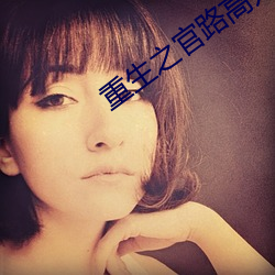 重生(生)之官路(路)高升