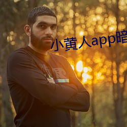 小黄人app暗部破解