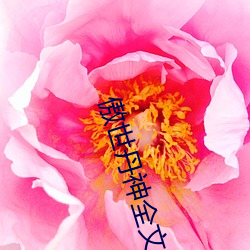 傲世丹神全文阅读免费