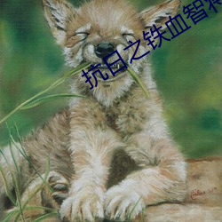 抗日之(之)铁血智(智)将