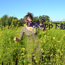 秋葵app下载汅