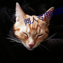 兩人專用的聊天軟件