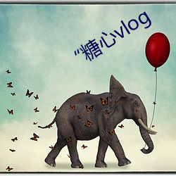 “糖心vlog （莺猜燕妒）