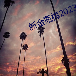 新金瓶梅2023 （干系