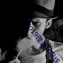 2019理論片電線