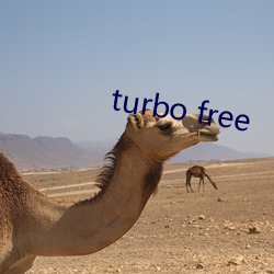 turbo free