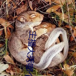 主(zhǔ)播大秀哪个好看